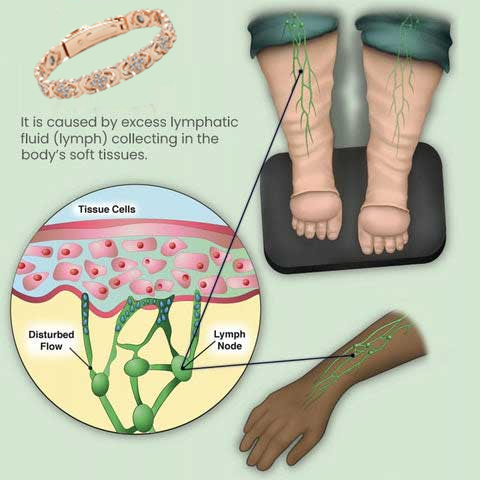 Science-Backed Slimming – Negative Ions, Germanium, and Magnetic Energy in One Powerful Bracelet!
