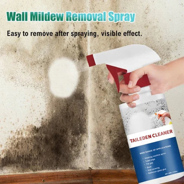 Mildew Remover Foam Pro