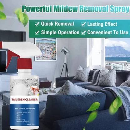 Mildew Remover Foam Pro