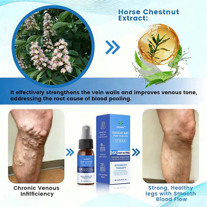 🇨🇦🏆COUGEX® VascuCare Vein Healing Spray(Designed for Varicose veins, Spider veins, Deep vein Thrombosis, Chronic venous insufficiency, Venous ulcers, Thrombophlebitis and other venous issues)