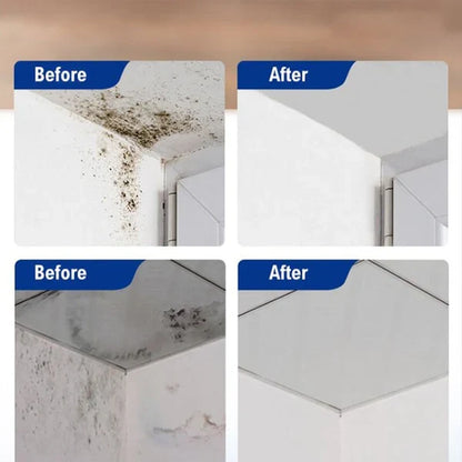 Mildew Remover Foam Pro
