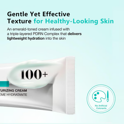 PDRN Hyaluronic Acid 100 Moisturizing Cream (60ml) | Deep Hydration & Skin Repair