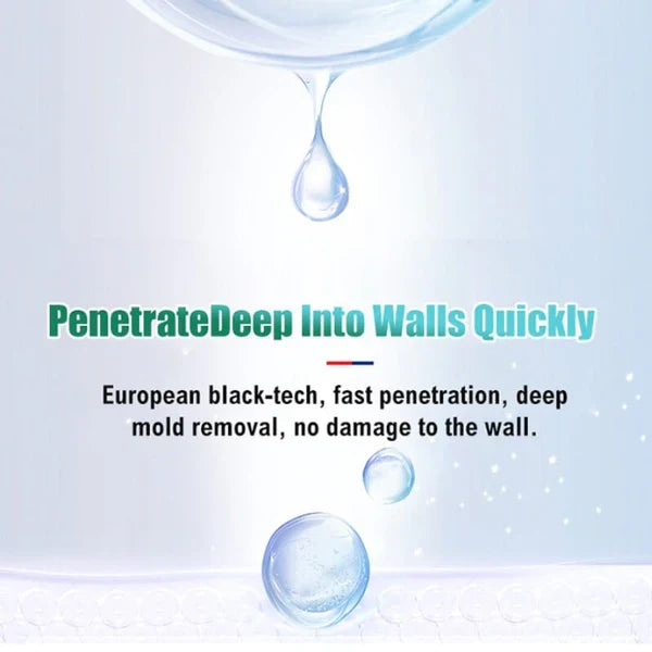 Mildew Remover Foam Pro