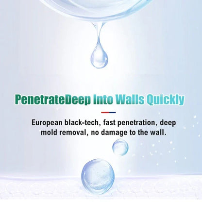 Mildew Remover Foam Pro