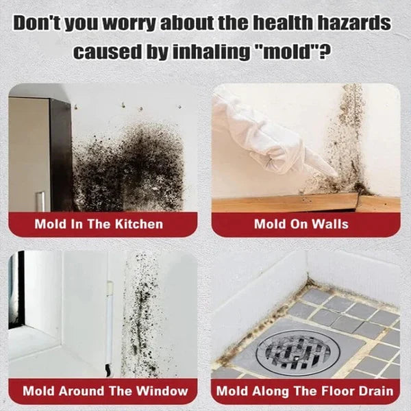 Mildew Remover Foam Pro